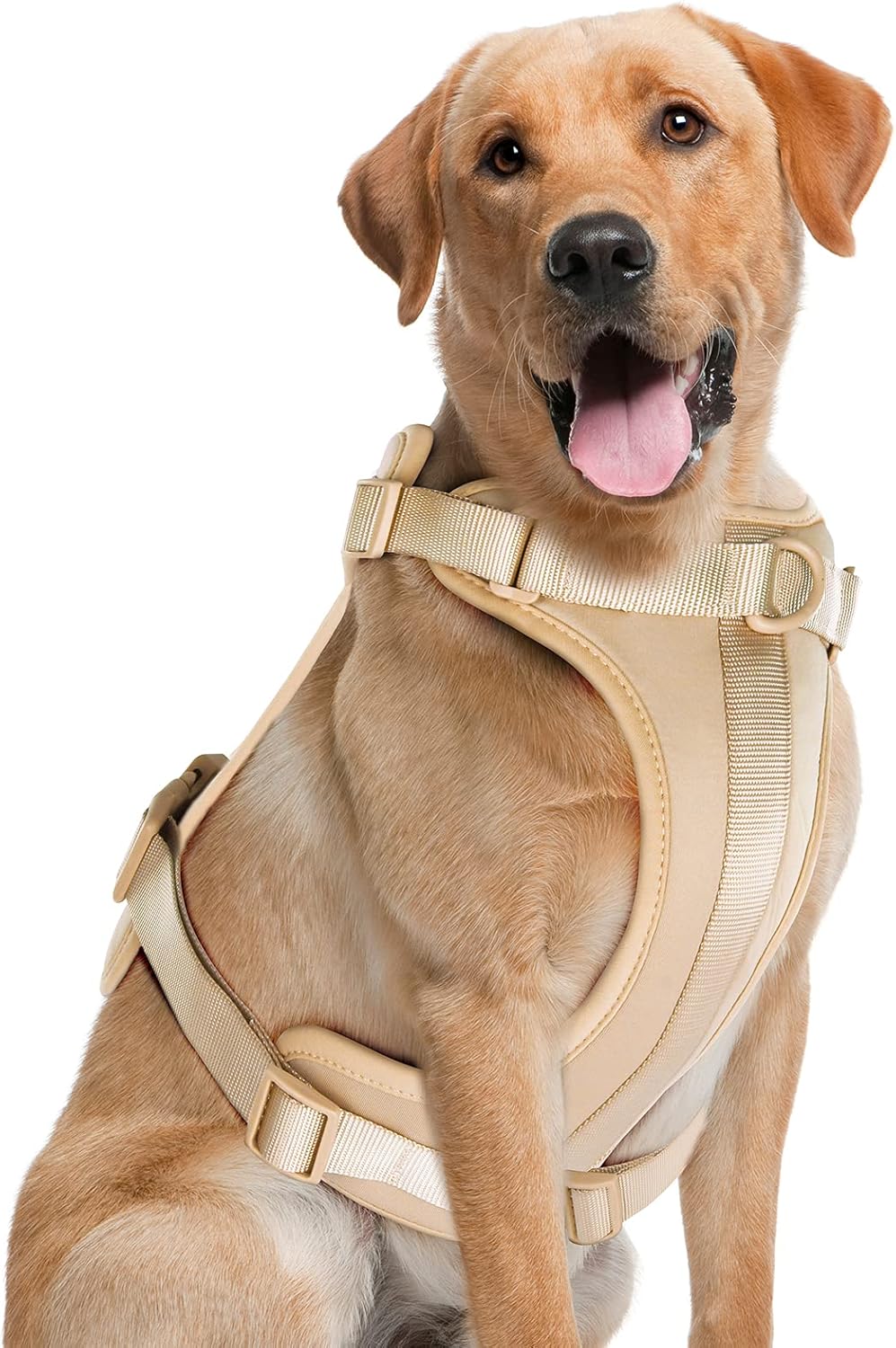 No Pull Lightweight Dog Harness: Adjustable Durable Breathable Mesh Pet Vest Harness with Soft & Comfortable Cushion, for Small Medium Large Dogs (L, Sand Color)