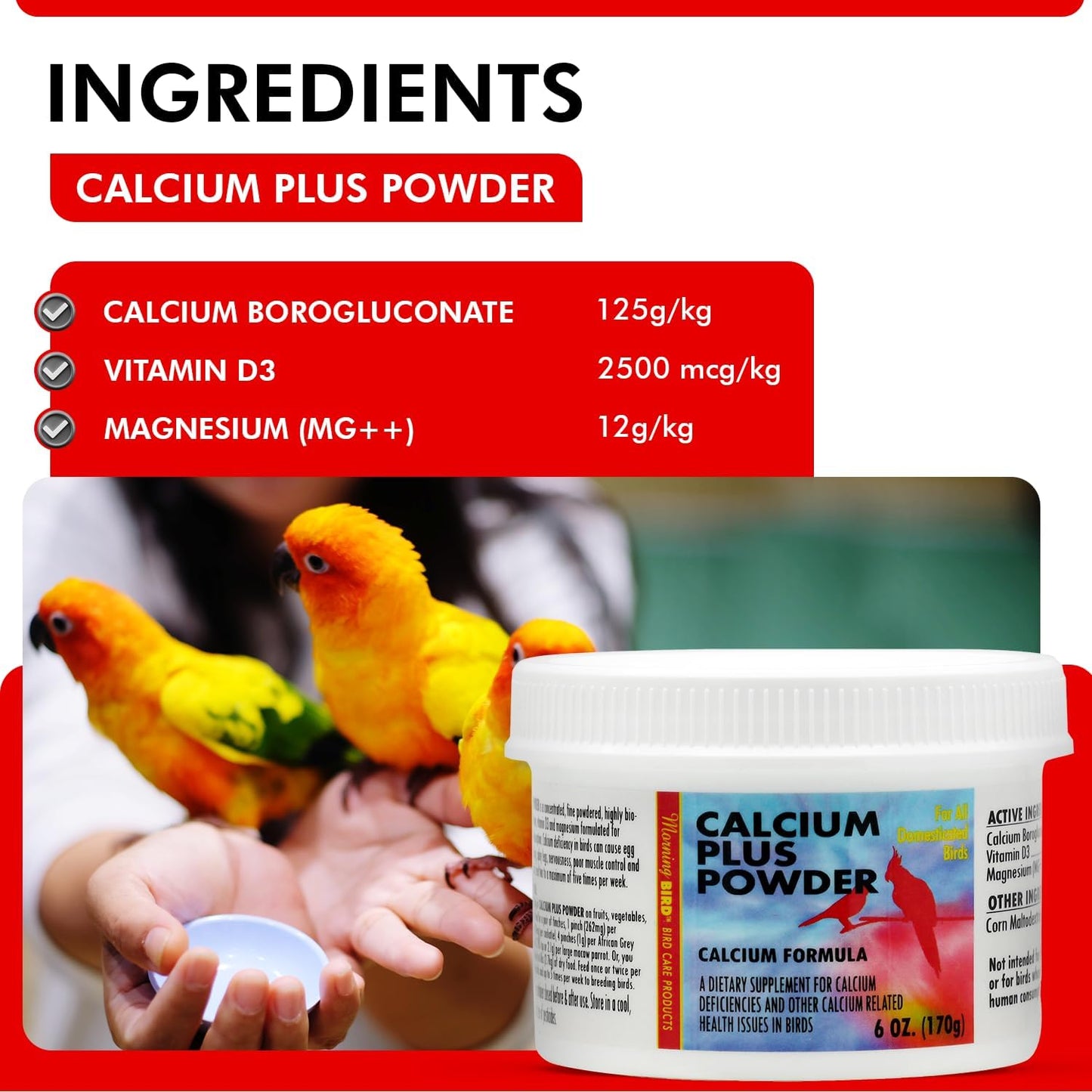 Morning Bird Calcium Plus Powder for Birds 6 oz – Calcium Supplement with Vitamin & Protein Powder – Supports Bone Health, Muscle Function & Digestive Balance – Easy-to-Mix Calcium Formula
