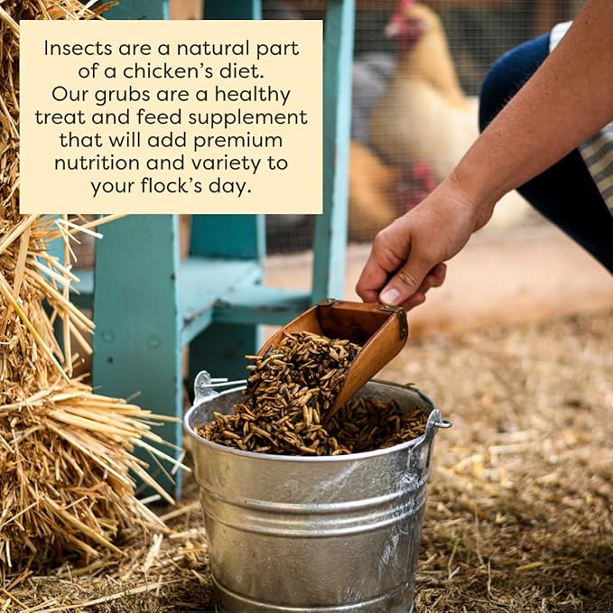Scratch and Peck Feeds Cluckin' Good Grubs for Chickens - Natural Protein and Calcium Supplement Feed - Dried Black Soldier Fly Larvae Bird Treats - Grown in The USA (8 Pound)