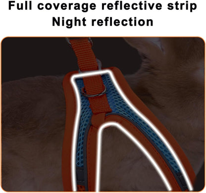 2 Pack Rabbit Harness and Leash Set, Double Buckle Bunny Harness with Reflective Strips Soft Breathable Mesh Vest Harness for Rabbits Walks Accessories