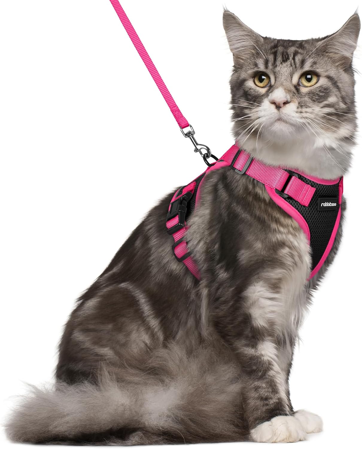 rabbitgoo Cat Harness and Leash Set, Escape Proof Soft Adjustable Vest Harnesses for Outdoor Walking, Easy Control Breathable Kitten Jacket with Reflective Strips, Black & Rose Pink, M