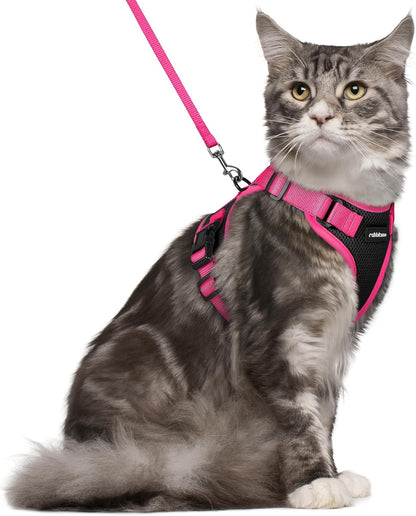 rabbitgoo Cat Harness and Leash Set, Escape Proof Soft Adjustable Vest Harnesses for Outdoor Walking, Easy Control Breathable Kitten Jacket with Reflective Strips, Black & Rose Pink, M