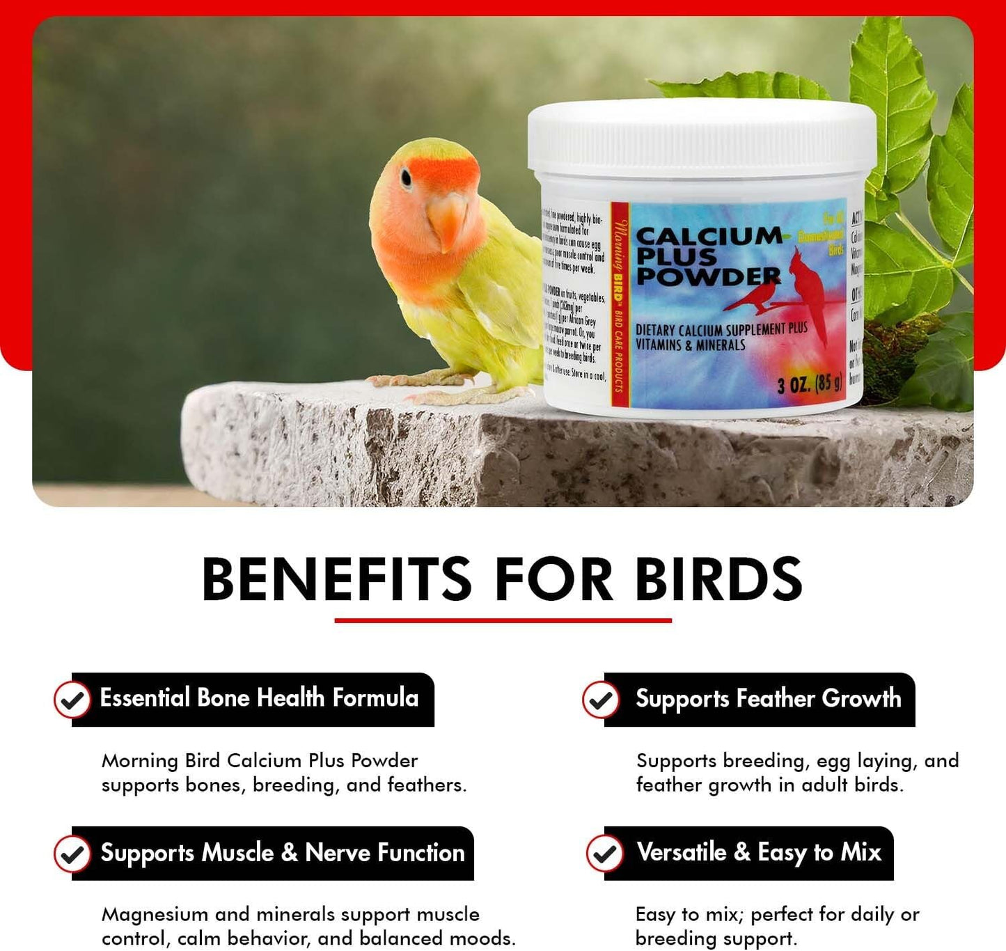 Morning Bird Calcium Plus Powder for Birds 3 oz – Calcium Supplement with Vitamin & Protein Powder – Supports Bone Health, Muscle Function & Digestive Balance – Easy-to-Mix Calcium Formula