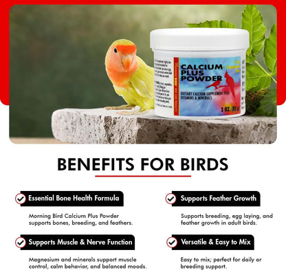 Morning Bird Calcium Plus Powder for Birds 3 oz – Calcium Supplement with Vitamin & Protein Powder – Supports Bone Health, Muscle Function & Digestive Balance – Easy-to-Mix Calcium Formula