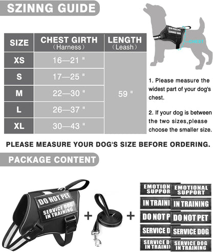 Service Dog Vest Harness and Leash Set+10 Patches for Puppy Small Dogs,Do Not Pet Emotional Support Dog Vest with 2 Soft Padded Handle for Everyday/Training (Black XS)
