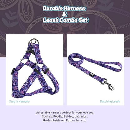 QQPETS Dog Harness Leash Set Adjustable Heavy Duty No Pull Halter Harnesses for Small Medium Large Breed Dogs Back Clip Anti-Twist Perfect for Walking
