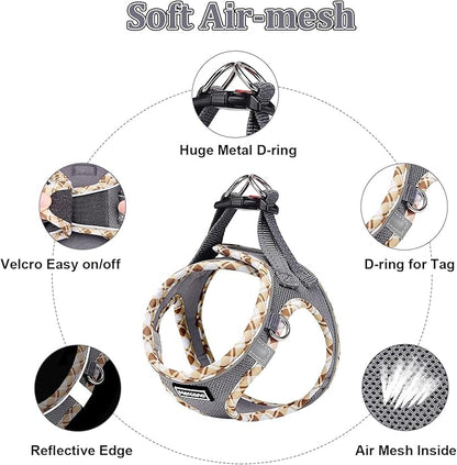 Mercano Soft Mesh Dog Harness and Leash Set, No-Chock Step-in Reflective Breathable Lightweight Easy Walk Vest Harnesses with Safety Buckle for Small Dogs, Cats (Grey, XXS)