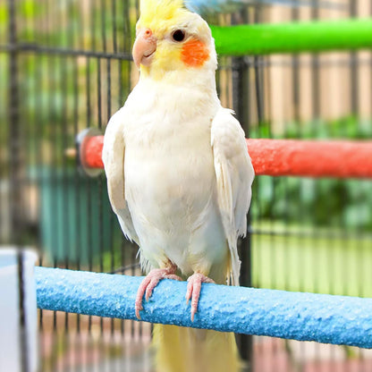 Hamiledyi 4 PCS Parrot Perch Stand Toy Bird Cage Perch Toy Natural Paw Grinding Stick for Medium Parrots Parakeets Cockatiels Lovebirds Chewing Stick (M)