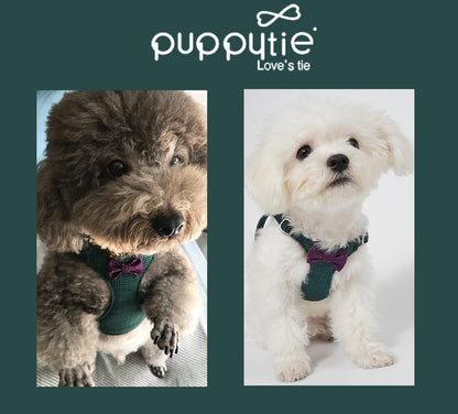 Puppytie No Pull xs Dog Harness with Multifunction Dog Leash,Soft Adjustable No Choke Escape Proof Pet Harness Vest,Plaid Green,xs