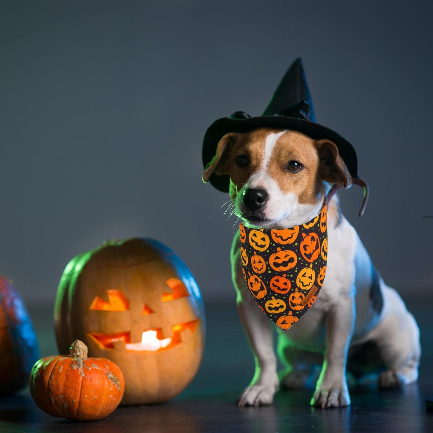 ADOGGYGO Halloween Dog Bandana, Pumpkin Bat Pet Scarf, Premium Durable Fabric, Adjustable Fit Halloween Bandanas for Small Dogs Cats Puppies (Small)