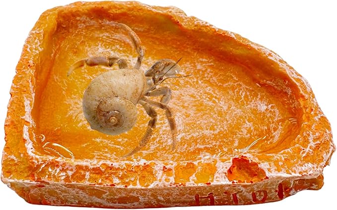Reptile Water Dish and Food Bowls, 3 Pack Reptile Feeding Terrarium Bowl for Bearded Dragon Lizard Frog Gecko Tortoise Hermit Crab Snail (Orange)