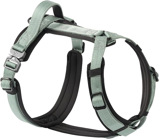 PawsPassion Dog Harness for X-Large Dogs, No Pull Dog Harness Easy Walk with Metal Hardware, Ergonomic Y-Shaped Design, Soft Padding, Padded Handle, Durable High-Tensile Nylon (Seabreeze, XL)