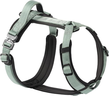 PawsPassion Dog Harness for Large Dogs, No Pull Dog Harness Easy Walk with Metal Hardware, Ergonomic Y-Shaped Design, Soft Padding, Padded Handle, Durable High-Tensile Nylon (Seabreeze, L)