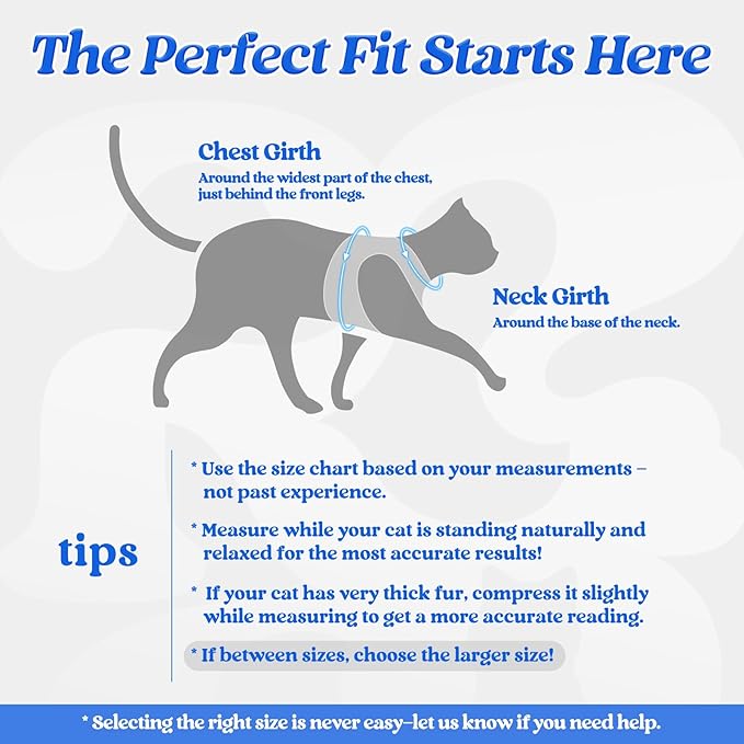 rabbitgoo Cat Harness and Leash Set for Walking Escape Proof, Adjustable Soft Kittens Vest with Reflective Strip for Cats, Comfortable Outdoor Vest, Blue, XL