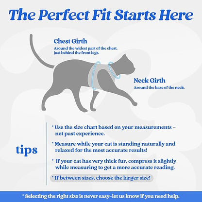 rabbitgoo Cat Harness and Leash Set for Walking Escape Proof, Adjustable Soft Kittens Vest with Reflective Strip for Cats, Comfortable Outdoor Vest, Blue, XL