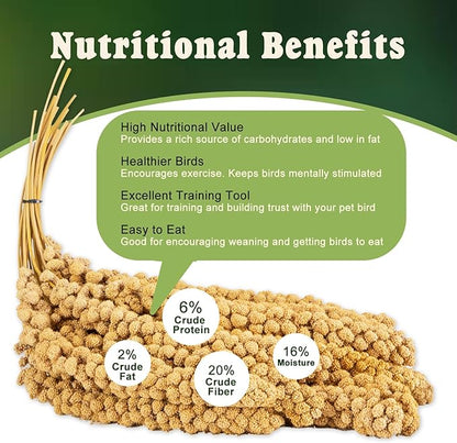 RANZ 5LBS Millet Spray for Birds, GMO-Free, Sun Dried Spray Millet, Original Bird Treats & Supplement for Parrots, Cockatiels, Lovebirds, Painted Buntings and Finches, Parakeets Food