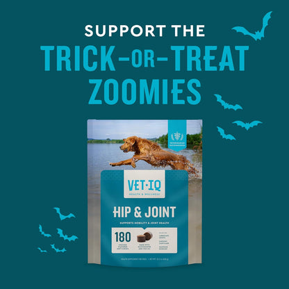 VetIQ Glucosamine Hip & Joint Supplement for Dogs, 180 Soft Chews, Joint Support Supplement with MSM and Krill, Dog Health Supplies Large & Small Breed, Chicken Flavored Chewables