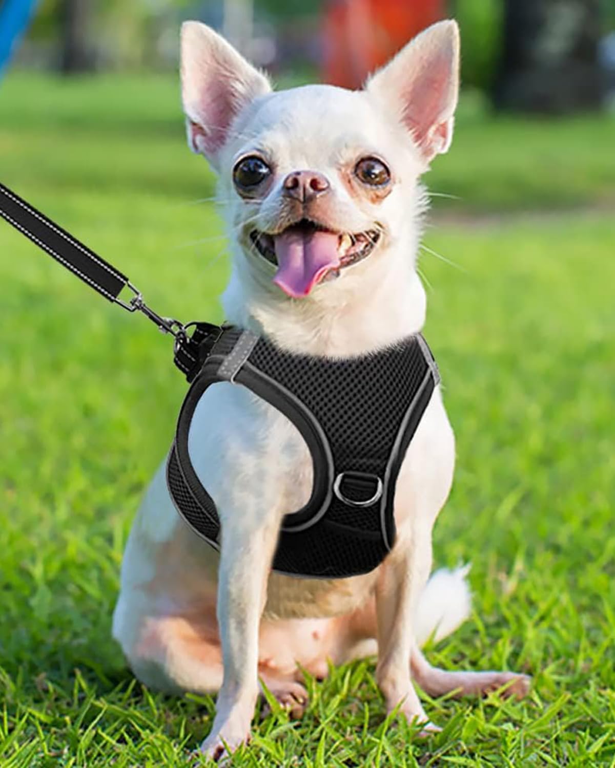 Joytale Small Dog Harness for Puppies and Extra Small Dogs, Breathable Mesh Step-in Vest, Reflective Soft Padded Harnesses, Black, XS