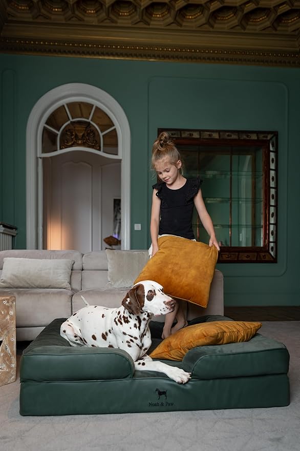 NOAH & PAW XL Dog Bed, 45x35x11 Inch, Orthopedic Large Dog Beds, Eggshell Memory Foam Infused with Cooling Gel, Inner Cover, Waterproof, Machine Washable (Faux Leather Sofa Collection)