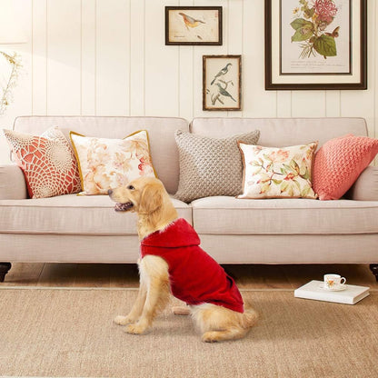 EXPAWLORER Dog Hoodie Fleece Sweater Vest, Hooded Dog Sweatshirt Fall Winter Pet Clothes with Leash Ring, Sleeveless Warm Cozy Puppy Clothing for Cat Small Medium Large Dogs Girl Boy, Red M