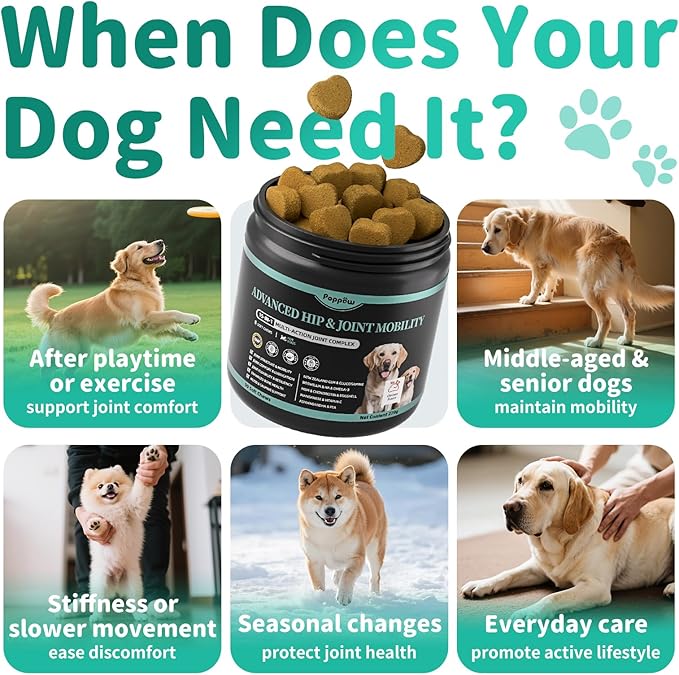 Dog Hip and Joint Supplement, 15-in-1 Advanced Glucosamine for Dogs with Chondroitin, MSM, New Zealand GLM, Pea, Omega 3 - Chicken Flavor - 90 Soft Chews, Fits All Breeds and Sizes