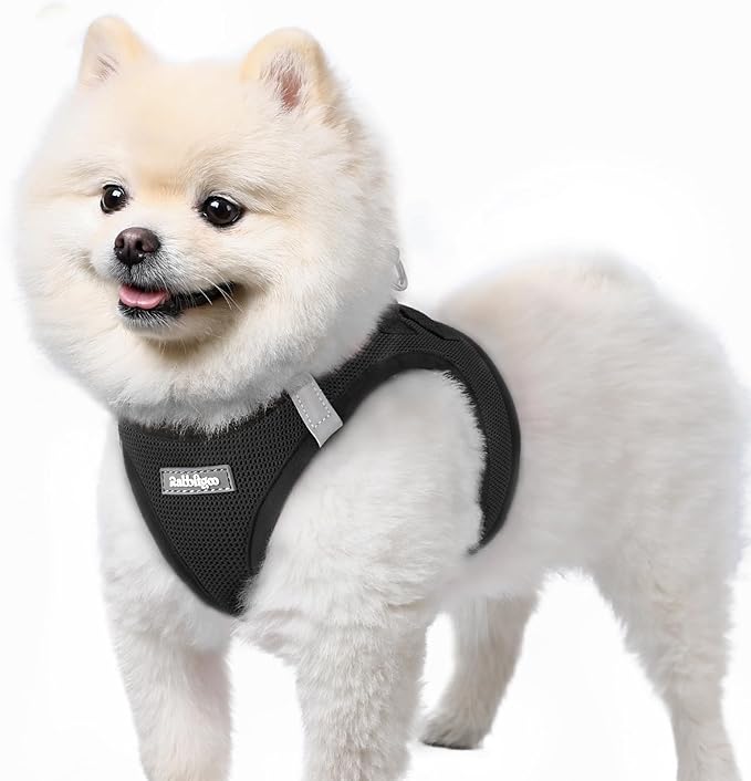 rabbitgoo Small Dog Harness, Step-in Soft Mesh Puppy Vest with Safety Buckle, Breathable Reflective Pet Harness for Small Sized Dogs, Black S