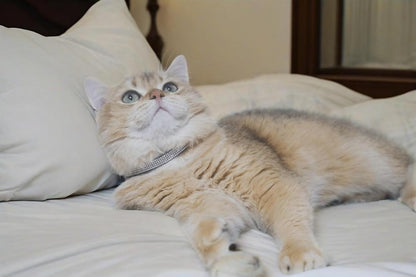 Rhinestone Cat Collar Breakaway with Bell Safety Buckle, Adjustable Diamond Girl Boy Kitty Cute Comfy Collar for Kitten Tiny Little Pets Rabbits, 6"-9" Pink Extra Small