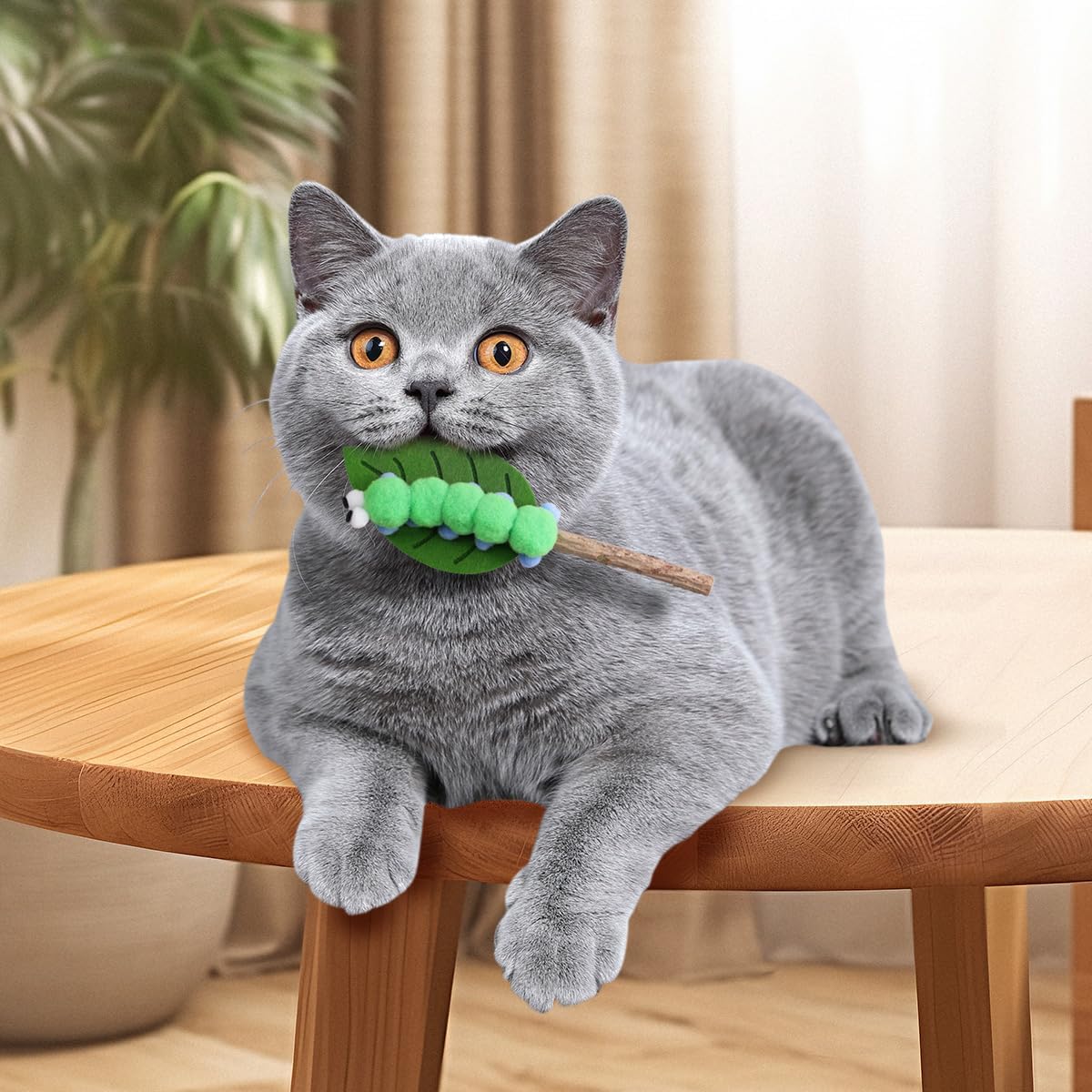 PAZ'S GIFT Catnip Toys - Cat Kick & Rope Toys for Indoor Play, Cat & Kitten Teething Chew Toys for Aggressive Chewing & Teeth Cleaning (Mouton Polygonum Velvet)