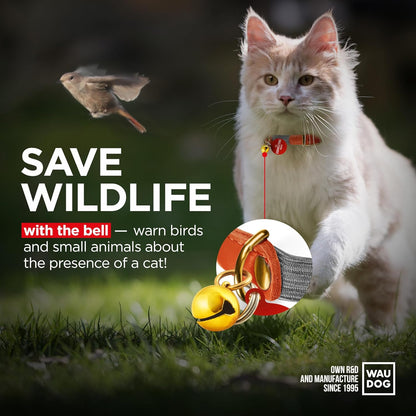 WAUDOG Ultra Soft Rolled Leather Cat Collar with Removable Bell, Safety Elastic Strap and QR ID Tag - Soft Padded for Small, Medium, and Large Cats - Round Kitten Collar for Male and Female Cats