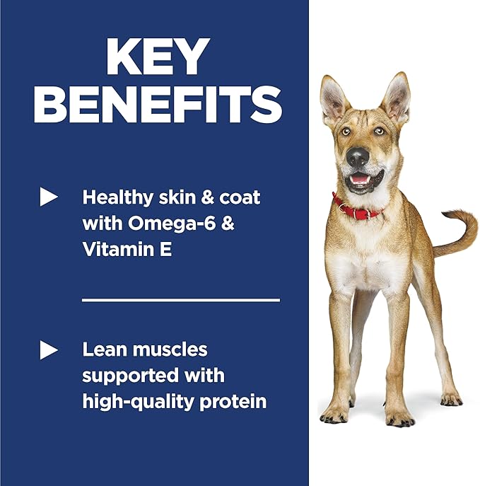 Hill's Science Diet Adult 1-6, Adult 1-6 Premium Nutrition, Dry Dog Food, Lamb & Brown Rice, 33 lb Bag