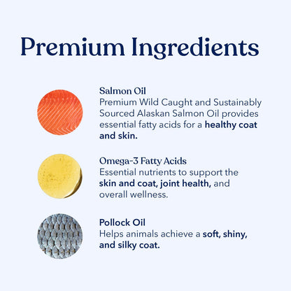 Honest Paws Wild Alaskan Salmon Oil for Dogs & Cats – Omega 3 Fish Oil Supplement for Skin, Coat, Joint & Heart Health – Natural, Sustainably Sourced, 16 oz