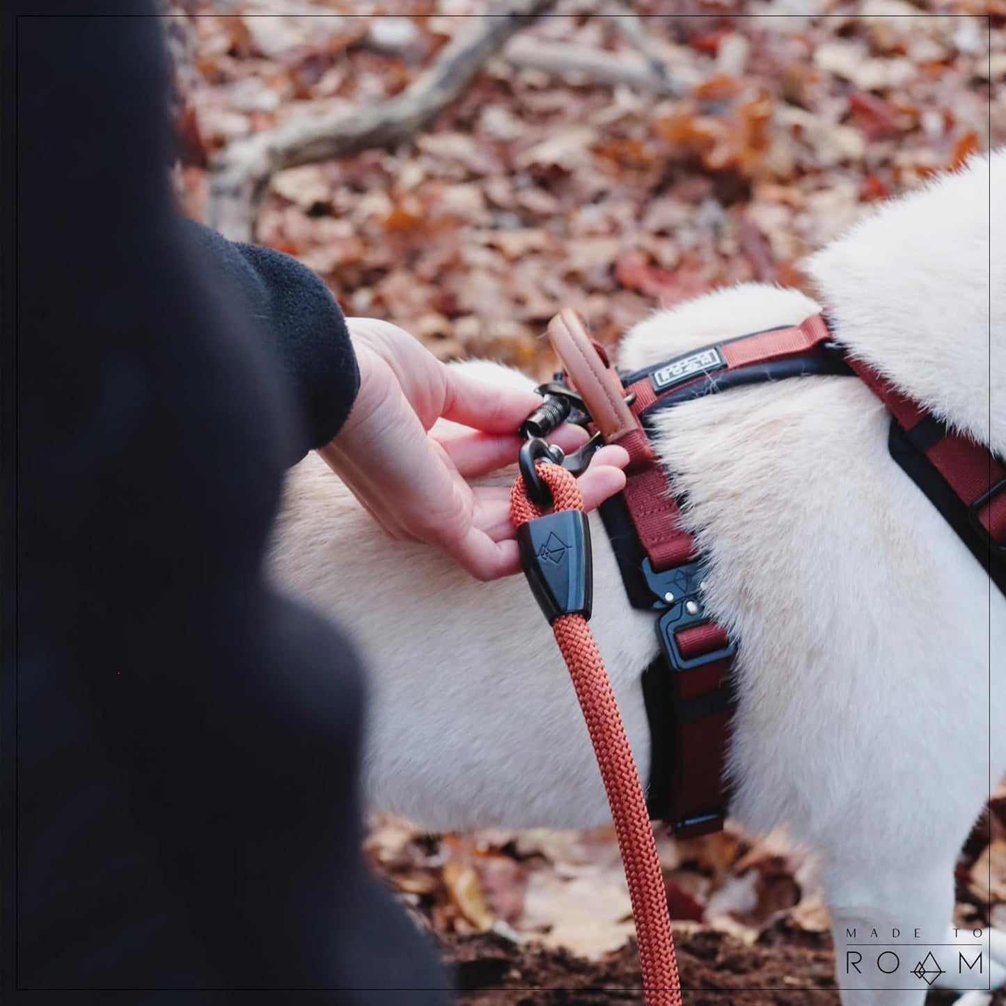 MADE TO ROAM Premium Explorer Harness - Y-Shaped Dog Harness with Adjustable Durable Nylon, Soft Padding, Metal Buckles and Leather Handle for Small, Medium, Large Dogs (Carolina Blooms, Size 6)