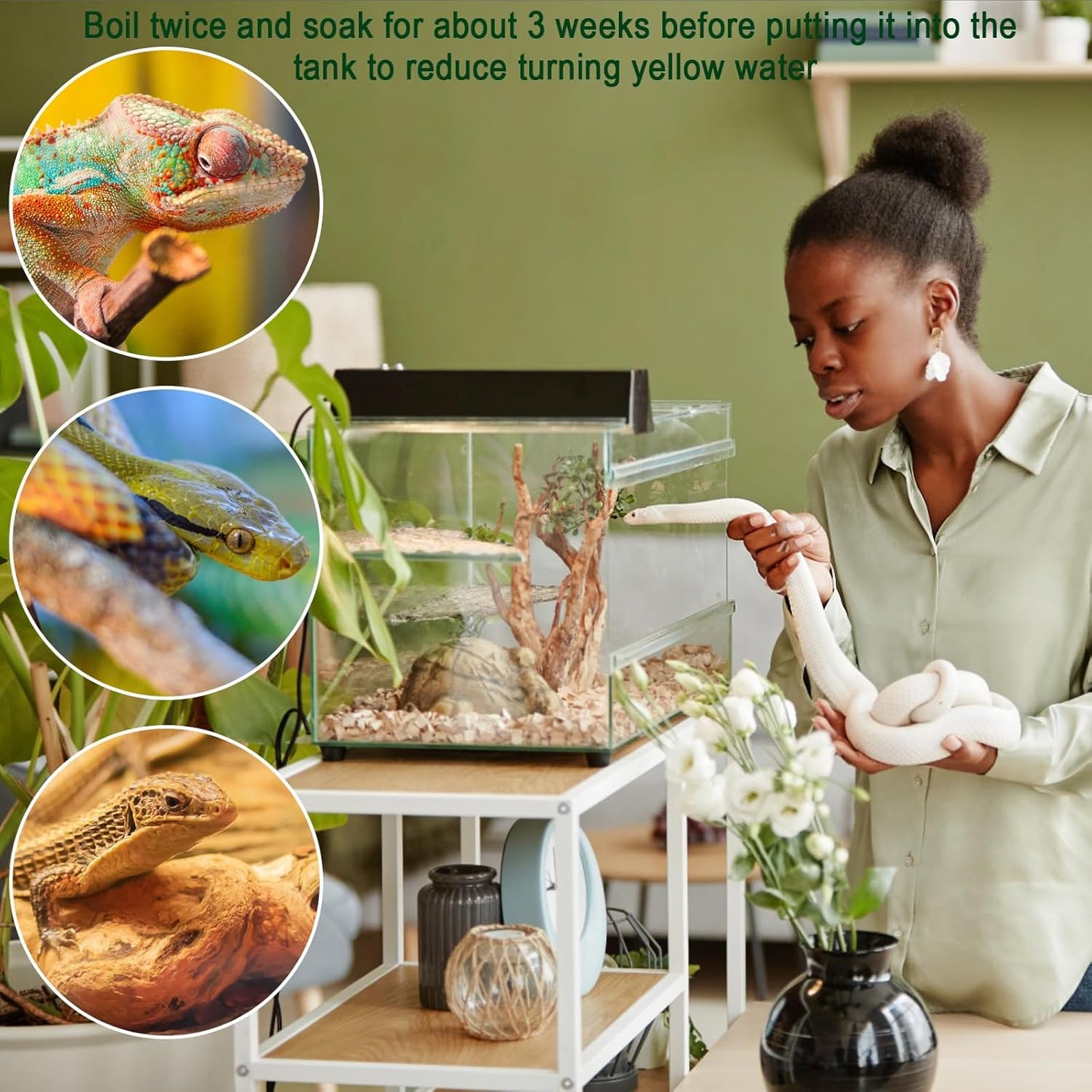 LYPHARD AQUARIUMS Driftwood for Aquarium, 2 Pieces 14-18 Inches Large Natural Drift Wood Fish Tank Assorted Branch Decorations for Reptile Hide