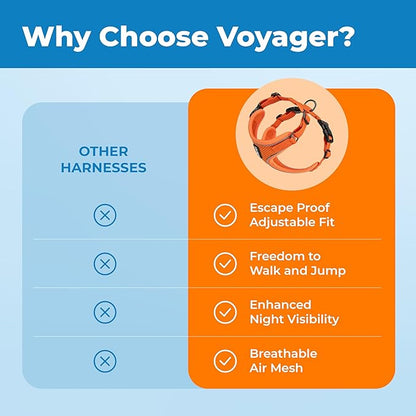 Voyager Escape Proof Cat Harness and Leash Set with Reflective Stitching, Neoprene Handle 5ft - Supports Small, Medium and Large Cats, Kittens for Walking by Best Pet Supplies - Orange, XS