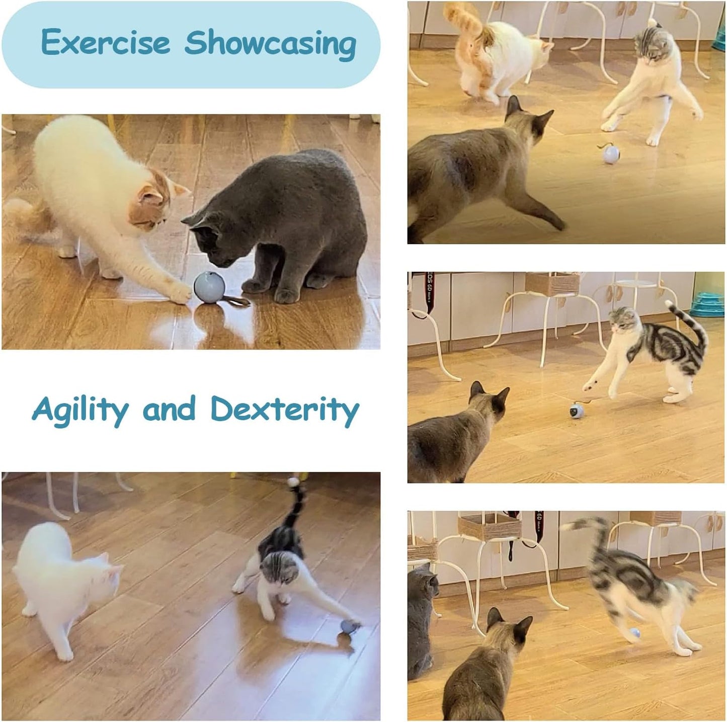 Migipaws Interactive Cat Ball Toy Set, Fun Tracker, Automatic Rolling Chase Ball with Fluffy Tail, A Small Mice, Rechargeable (White)