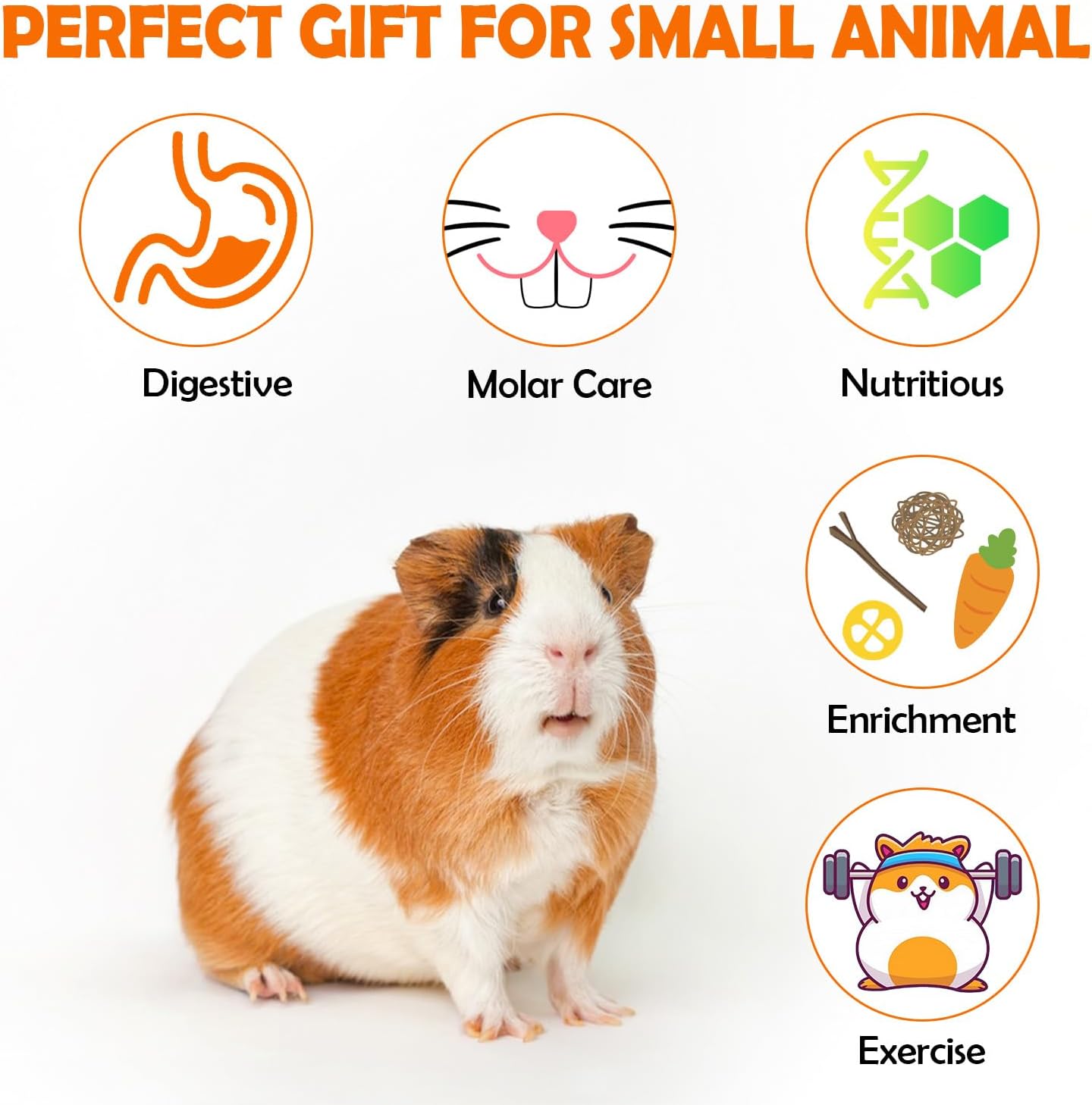 Sofier Guinea Pig Toys Tunnel Hideout Cage Accessories Chew Toys for Hamster Rabbit Ferret Rat Chinchilla Hedgehog Enrichment Playpen Boredom