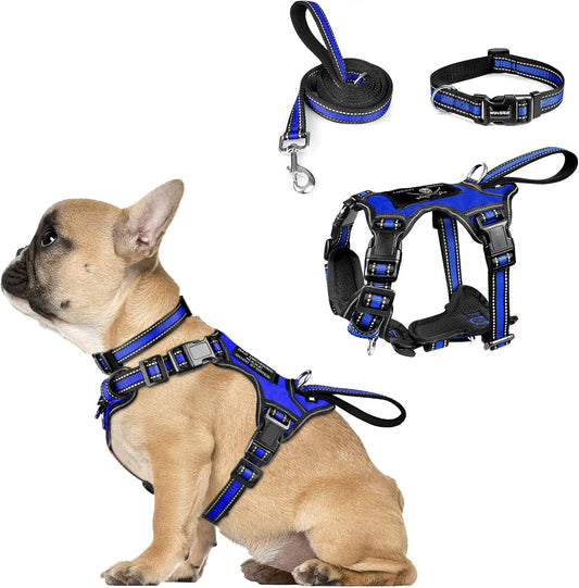 WINSEE Pet Harness Collar and Leash Set, All-in-one Reflective Dog Harness No Pull with Adjustable Buckles for Puppies, Small, Medium, Large, and Extra-Large Dogs (Small, Dark Blue)