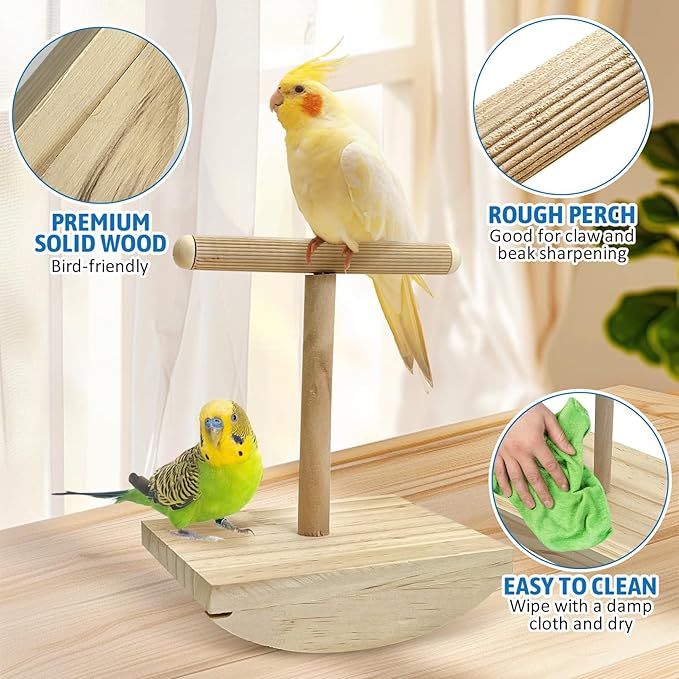 kathson Bird Training Stand, Parakeet Playground Bird Perch Platform Portable Tabletop Parrot Perch T Shaped Cockatiel Play Stand for Parakeet Conure Lovebird Cockatiel