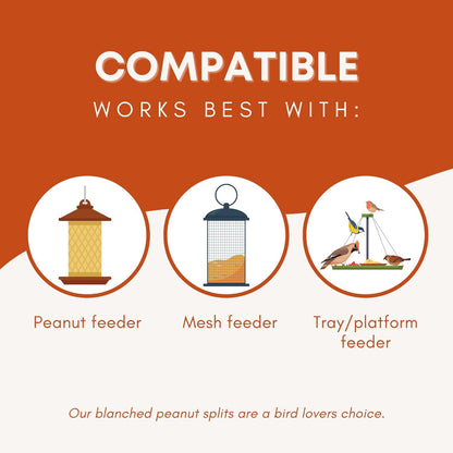 Fresh Shelled Peanuts for Birds & Squirrels - Raw Wildlife Peanuts, No Mess Bird Seed, No Waste Bird Seed for Wild Birds & Backyard Squirrels (10lbs)