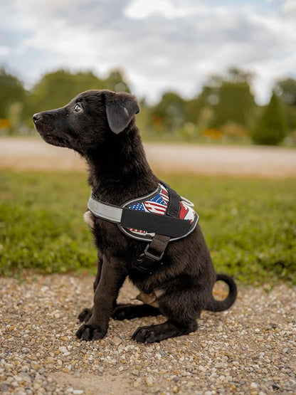 Non Pull Dog Harness with Patch Panels and Handle, Adjustable, Reflective, No Choke, Heavy Duty Easy On Service Dog Vest Harnesses for Medium Large Small Sized Dogs - USA, 2XL