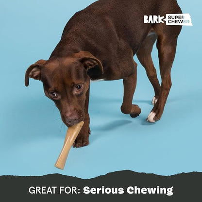 Barkbox Super Chewer Tough Dog Chew Toys for Aggressive Chewers, Dental Stimulating (PB Bone - Small)