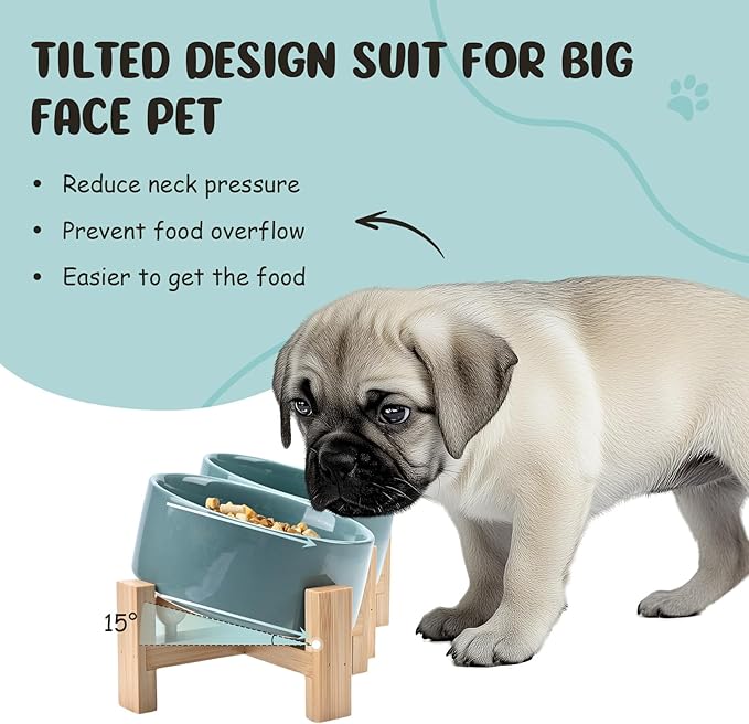 SPUNKYJUNKY 15° Slanted Ceramic Dog and Cat Bowl with Wooden Stand, Tilted Bulldog Food and Water Bowl No Slip Non-Spill for Cats Medium Dogs Big Face Pets 13.5 OZ (1.7 Cups, Light Green × 2)