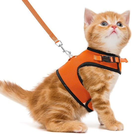 PUPTECK Soft Mesh Cat Vest Harness and Leash Set Puppy Padded Pet Harnesses Escape Proof for Cats Small Dogs Rabbits Bunny