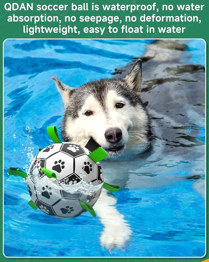 QDAN Soccer Ball with Straps - Durable Giant Dogs Balls, Outdoor, Herding, Floating, Birthday (10 Inch)