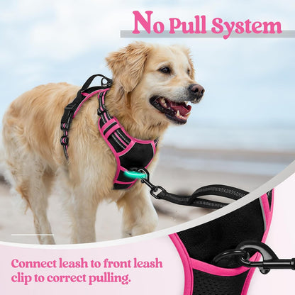 rabbitgoo Dog Harness No Pull with 2 Leash Clips, Adjustable Soft Padded, Reflective Oxford No Choke Pet Vest with Easy Control Handle for Large Dogs, Black & Hot Pink, S