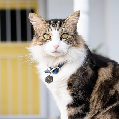 Anavia Small Size Dog Cat ID Tags, Small/XS Personalized Color Plated Stainless Steel Puppy Kitten Name Tags, Customized Engraved Nameplate Pet Collar Tag (Blue, Hexagon)