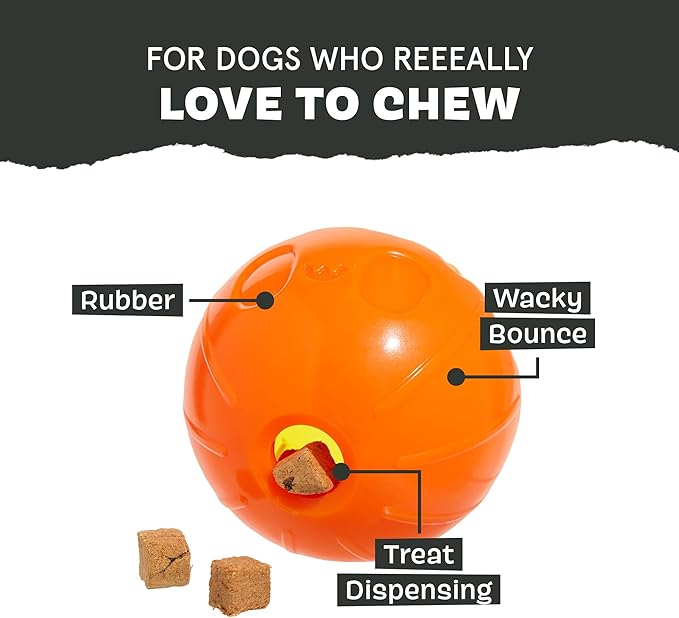 Barkbox Pumpkin Prodigy Dog Toy | Halloween Treat-Dispensing Rubber Dog Toy for Aggressive Chewers | Durable Dog Chew Toy for Medium Dogs & Puppy Essentials