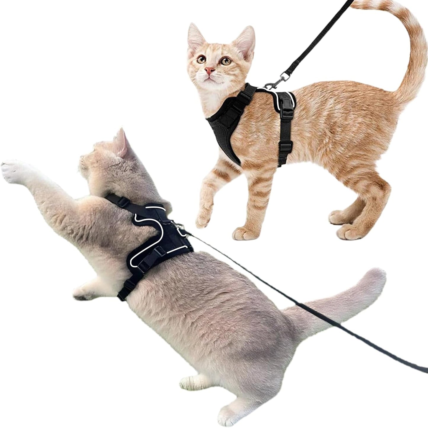 Luxelle 2 Pack Escape-Proof Cat Harness and Leash Set for Walking – Adjustable No Pull Soft Vest with Easy-Wear Buckle, Reflective Straps, Breathable Mesh – Outdoor Travel Harness for Cats & Kittens