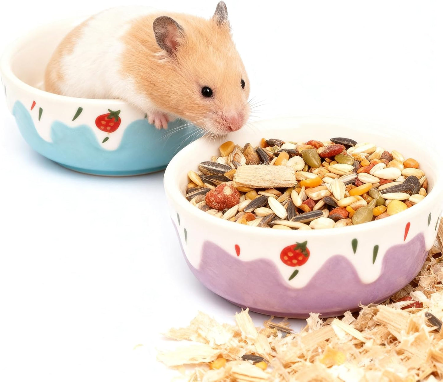 Wontee Hamster Food Bowl 2 Pack Ceramic Food Water Bowl Anti-Tipping for Dwarf Hamsters Gerbil Mice Hedgehog Guinea Pig (Blue+Purple)