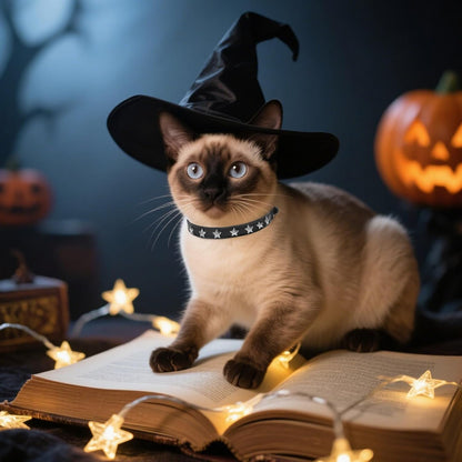 EXPAWLORER Halloween Leather Cat Collar - Adjustable Pet Collar with Rivet Spike for Girl Boy Cats, Punk Accessories with Bell & Durable D-Ring,Silver Pentagram